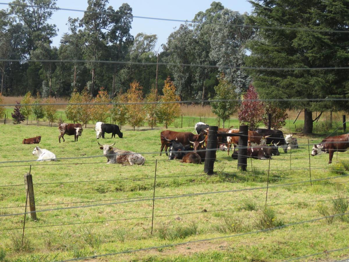 Dunroamin Bed And Breakfast Mooi River Exterior foto